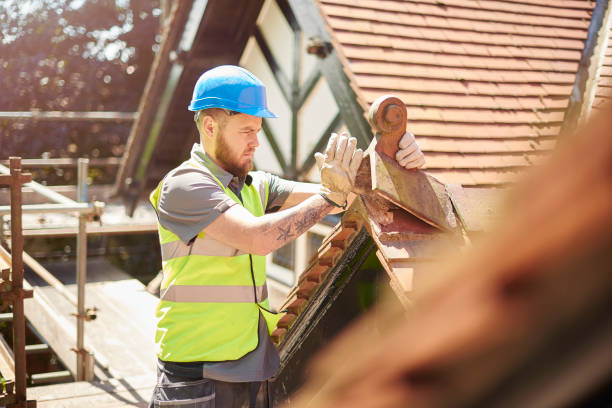 Roof Gutter Cleaning in Fairview Heights, IL